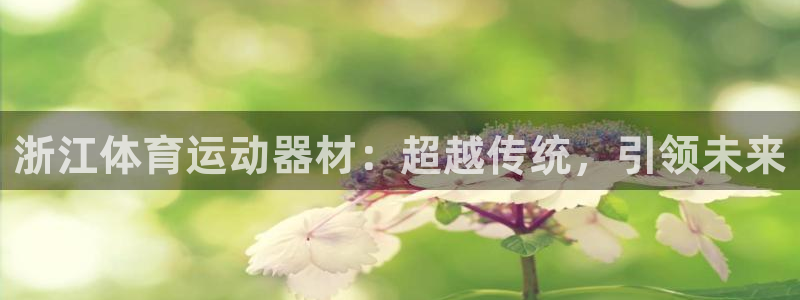 嗨王体育app改名了吗最新消息：浙江体育运动器材：超越传统，引领未来